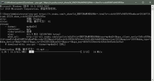 黑科技404在线视频,探索神秘在线视频背后的秘密